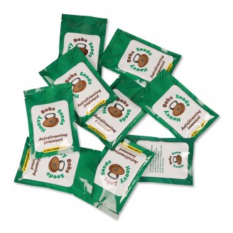 Семена конопли сорта Mint Jelly Auto Fem.