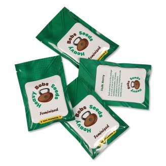 Семена конопли сорта Poddy Mouth Fem.